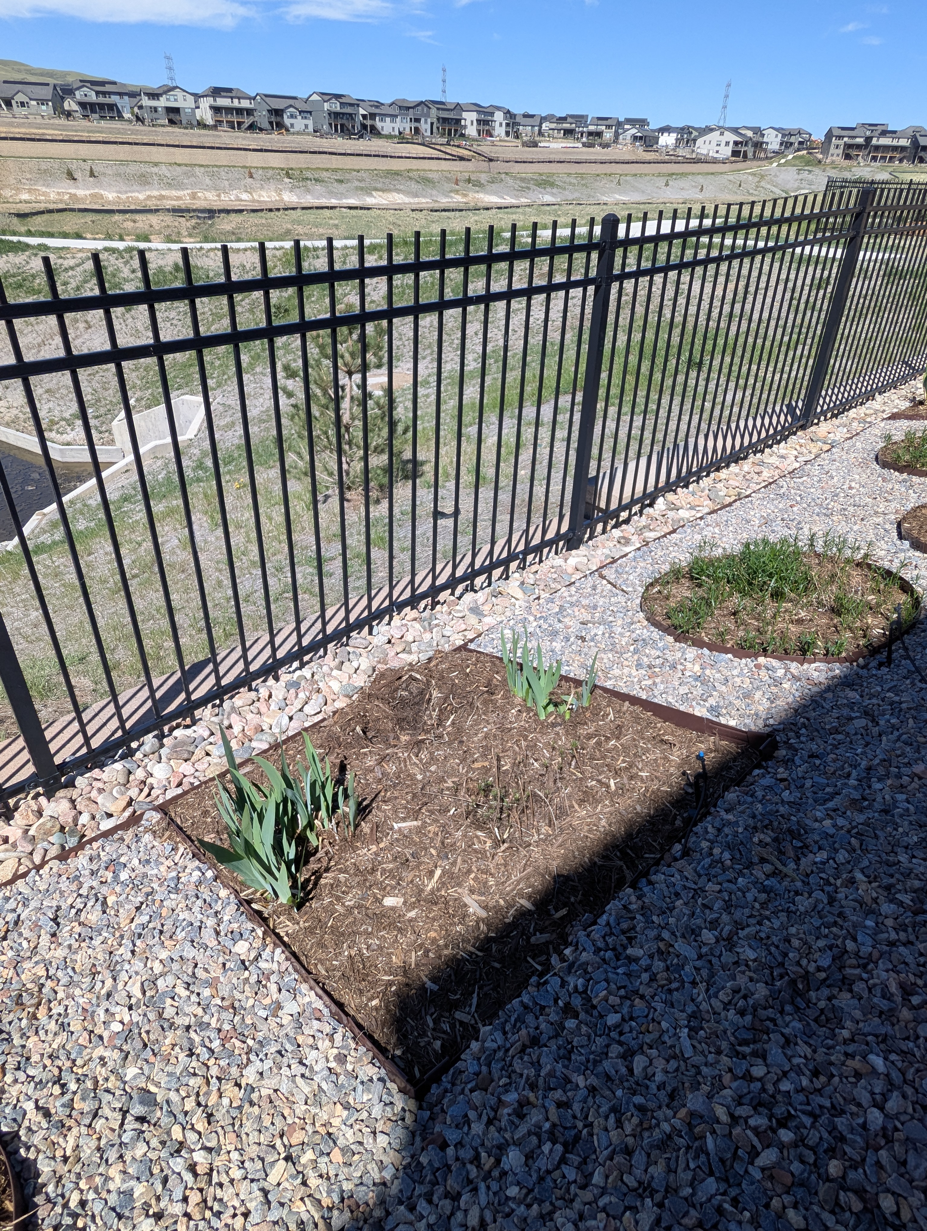 Garden, Flowers, Morrison, Colorado